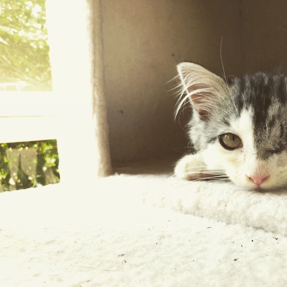 Meet Your Posher, Michelle - Picture 5 of 8